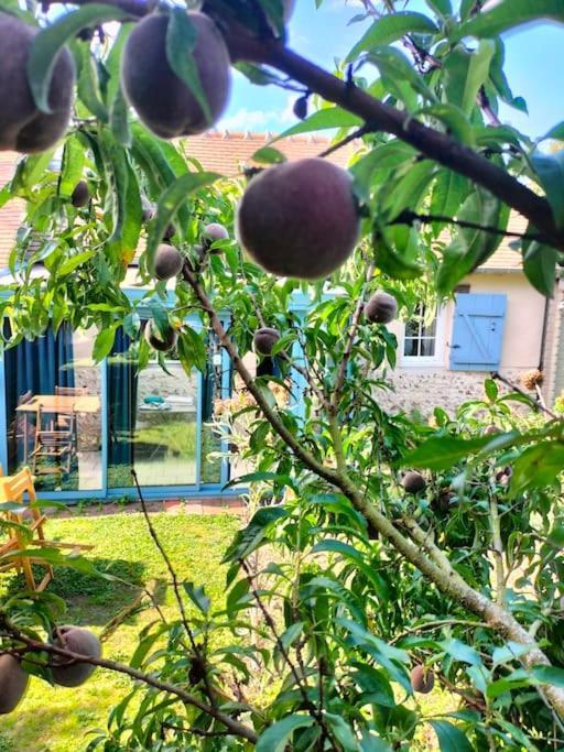 Charmante Maisonnette En Pierre Écardenville-sur-Eure 外观 照片